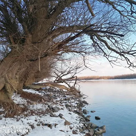 Danube Fairy