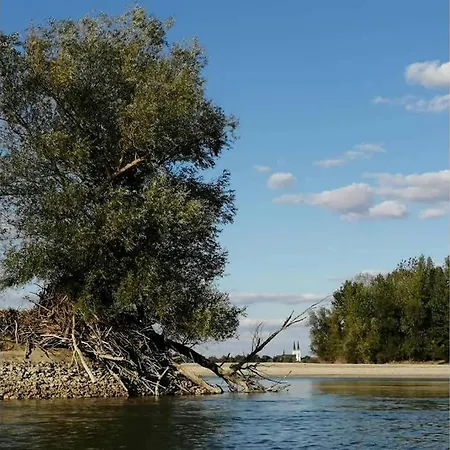 Danube Fairy Nyaraló Futak