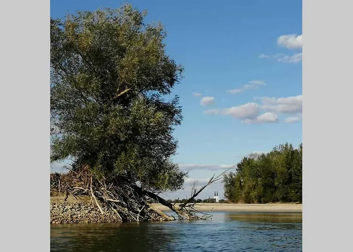 Danube Fairy Сasa de vacaciones Futog